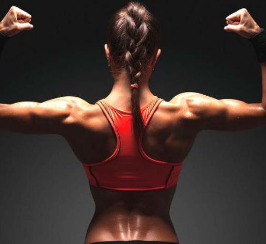 Stam elegant Beginner Kun je als vrouw nog spieren opbouwen na je 30ste. - Body & Power Shop